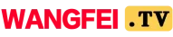 wangfei-logo